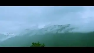 Into the nature  #natureshorts #kerala #palchuram