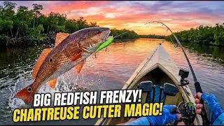Hidden Creeks of Edgewater: Kayak Fishing Florida&rsquo;s Backcountry