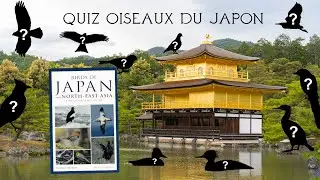Les Oiseaux du Japon - Birds of Japan (English subtitles)