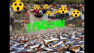 Cambodia Fishing| Siem Reap Fishing| Baray Fishing