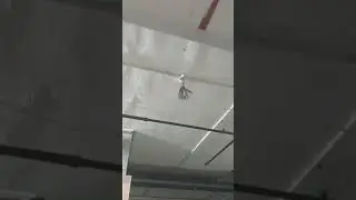 Fire Alarm System Cable Work Demo | Proper Alignment & Site Safety Explained #cablework #cablelaying