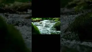 Meditația pentru picioare grele,umflate . Maria Motea Hypnotherapeut