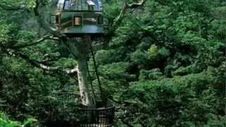 Have a Look at Kerala Hill Stations Tour
