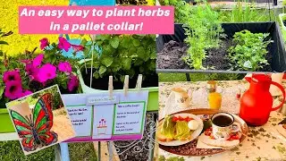 An easy way to plant herbs in a pallet collar! Diy! 🌿🌷