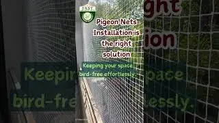 Efficient Pigeon Nets Installation for Hyderabad  Call 9363632161