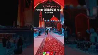 Ya Ali Madad a.s I Ali Shanawar I Al Razavi Tv #shorts #youtubeshorts