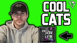 NBA TOP SHOT PACK OPENING | COOL CAT PACK! | CRYPTO NBA