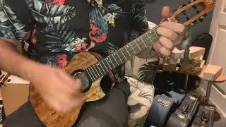 Flight fireball ukulele - low g ukulele soundtest
