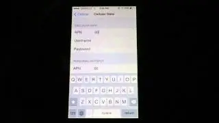 iPhone 5s Internet (APN) Settings