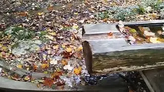Репортаж из рая. До чего техника дошла!