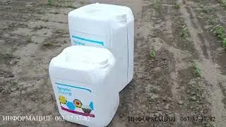 Primena GEO2 I AGROPTIM ZENITH u paprici i p&scaron;enici