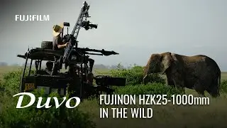 Inside a Wildlife Documentary Filmed With FUJINON Duvo HZK25-1000mm