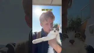 Is this Ruby the baby cat??