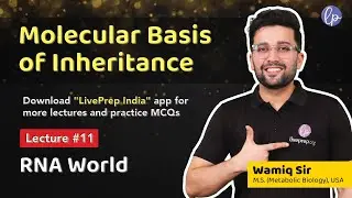 RNA World Hypothesis - Molecular Basis of Inheritance by Wamiq Sir