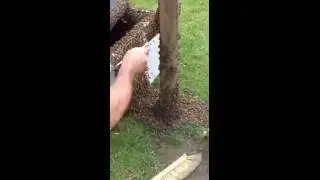 video 1467668759 1