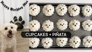 Making Dog Theme Cupcakes + Piñata