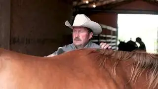 CHEZACUT RANCH, CHILCOTIN, BRITISH COLUMBIA, CANADA FOR SALE