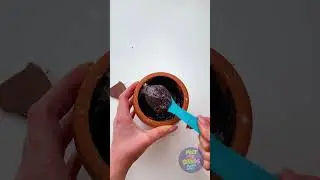 MAKE THE MAGIC CHOCOLATE BALL 🪄🍫 #shorts #yummy