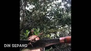 Parang Bidor (Bulan)- Din Sepang