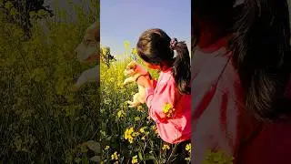 Puppy 🐶🐾💕 #trending #popular #2026 #viralreel #trend #puppy #dogs #shorts #pet #youtubeshorts #love