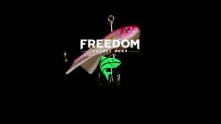 Freedom Tackle Turn Back Shad Vertical Jig