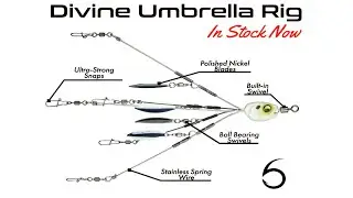 Представляем оснастку Divine Umbrella Rig от 6th Sense Fishing