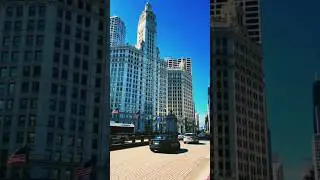 #DowntownChicago#ChicagoView#Cityscape#UrbanPhotography#Skyline#TravelPhotography#shorts