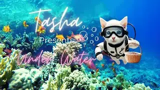 Cat Purring with Water sounds for Stress Relief and Deep as the Ocean Relaxation🧘🐈🤿