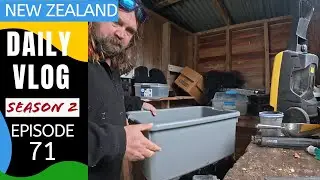 Cleaning out sheds and trying to avoid the rain [ Life in New Zealand season 2#71]