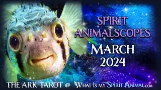 The Unexpected Link Between Boob Sweat and Your March 2024 Pick a Card Tarot Reading
