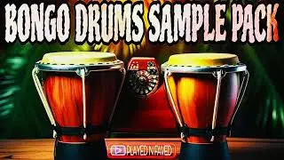 Bongo Drums Sample Sound Pack