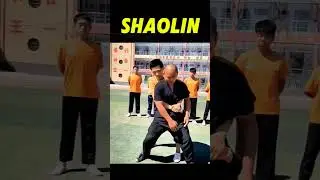 Shaolin Kung Fu Monk Training || Bruce lee Self-Defense Techniques 2024 #shorts #shaolinkungfu
