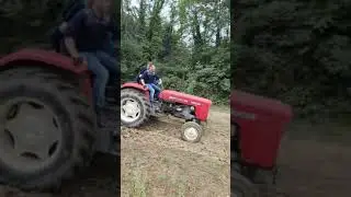 HIT! KATOWANIE URSUSA NA G&Oacute;RACH😱🤣#shorts