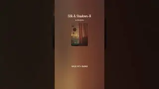 Silk & Shadows-R