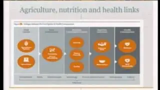 Agriculture and Noncommunicable Diseases - 9/7/2011 - Rachel Nugent