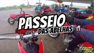 Passeio das Abelhas 🐝