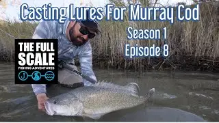 Casting Lures For Murray Cod | The Full Scale