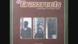 Da Grassroots- black dove