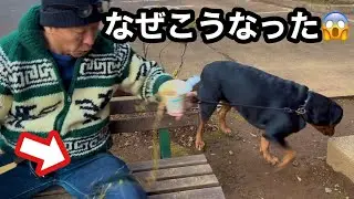 散歩前に蕎麦食ってバチ当たった