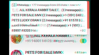 How to fix whatsapp top notification problem, malayalam