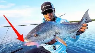 NEW Power Prawn USA Junior Shrimp Lure Colors [Redfish Can't Resist!!]