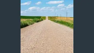When the Summer's Gone