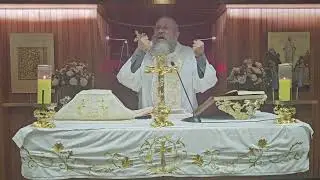 عظة اليوم الثالث بعد عيد الدنح الإلهي المجيد شهادة والوحي الإلهي للأب فادي المير مزار سيدة لبنان حري