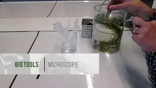 Het maken van een PREPARAAT - Microscopieserie