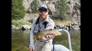 Arkansas River Hot Fly Fishing Flies for late September 2020