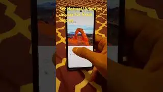 Google Pixel Vibrant Display Setting 📱 | Google Pixel Tips