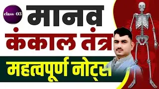 जीव विज्ञान ll biology ll musculer system