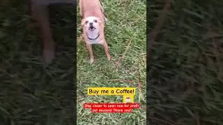 #buymeacoffee @生き甲斐7 @生き甲斐7 #naturespeed @生き甲斐7 @生き甲斐7 #nonforprofit #dogdaycare