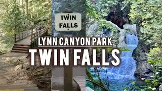 Hiking to Twin Falls | Lynn Canyon Park, North Vancouver | Scenic Bridge, Waterfalls