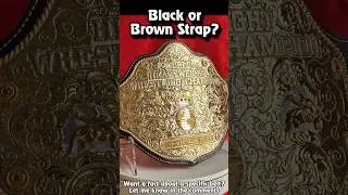 When did the Big Gold Belt get releathered? #wwe #shorts #collection WWE Replica Belt Review